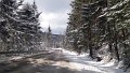 20190312_095537 01